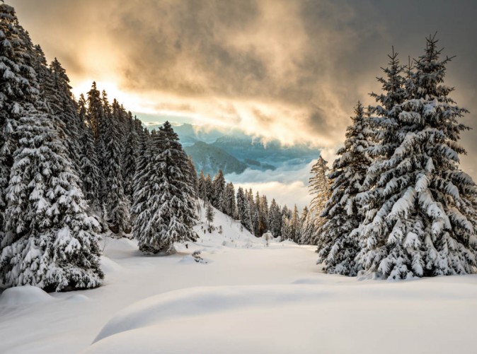 5_Rigi_st0037439_1swiss-image.chRoland Gerth